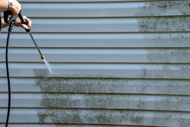 Best Siding Removal and Disposal  in Shelby, NC