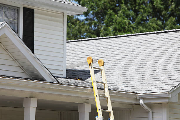 Best Historical Building Siding Restoration  in Shelby, NC