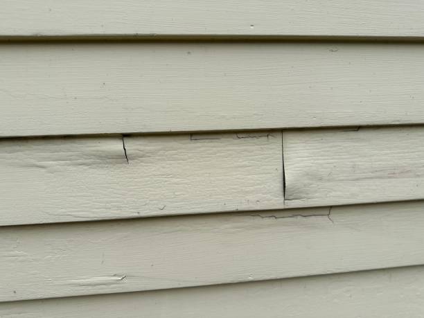 Best Custom Trim and Detailing for Siding  in Shelby, NC